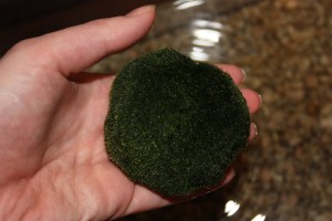 Marimo! Aquatic friend!